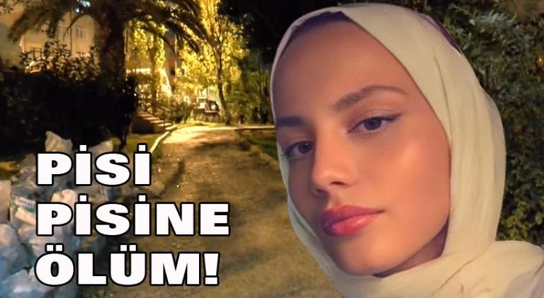 Pisi pisine ölüm
