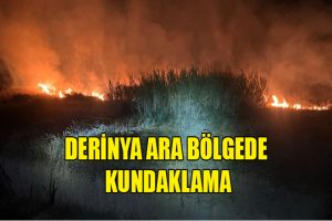 Derinya ara bölgede kundaklama
