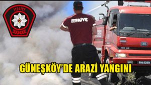 Güneşköy’de arazi yangını