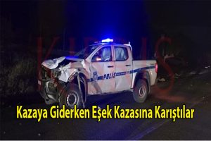 Kazaya Giderken Eşek Kazasına Karıştılar