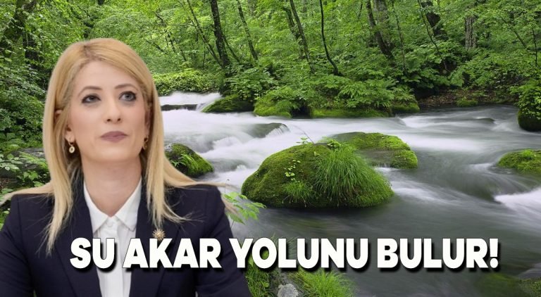 Su akar yolunu bulur