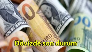 Dövizde son durum