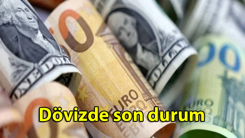 Dövizde son durum