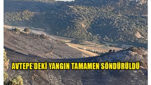 Avtepe’deki yangın tamamen söndürüldü