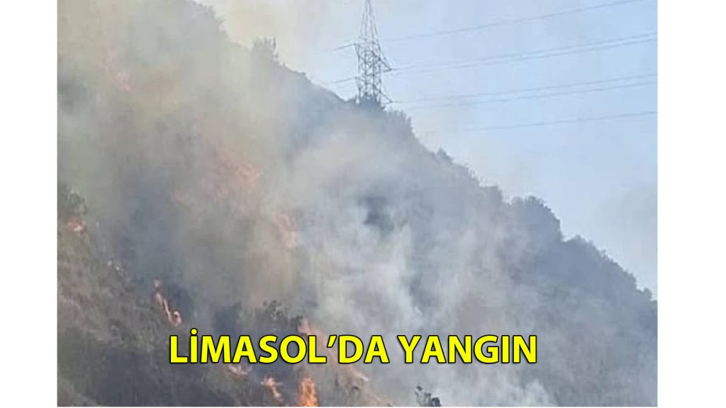 Limasol’da yangın