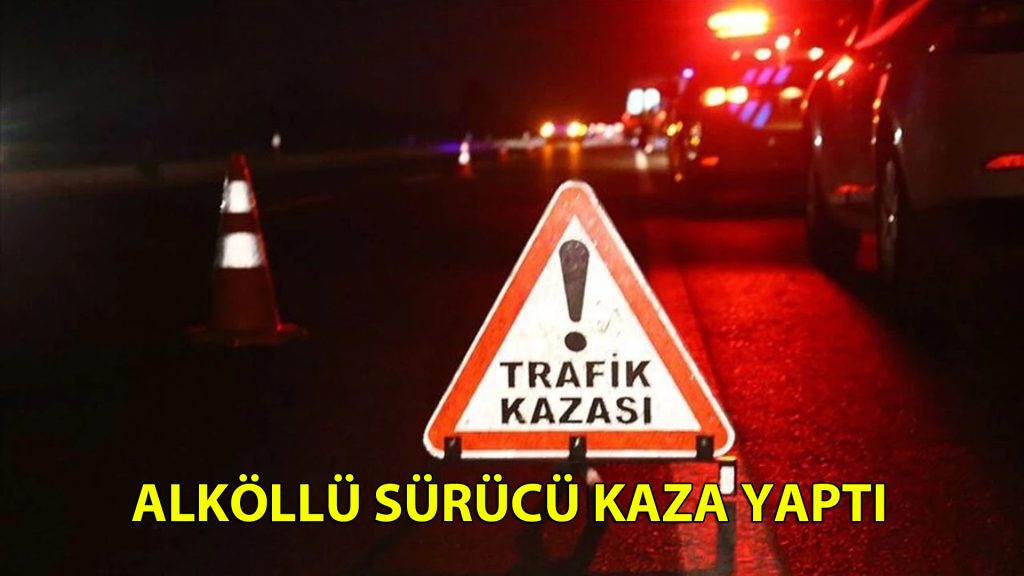 Alkollü sürücü kaza yaptı