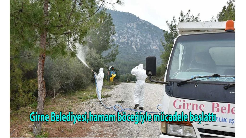 Girne Belediyesi, hamam böceğiyle mücadele başlattı