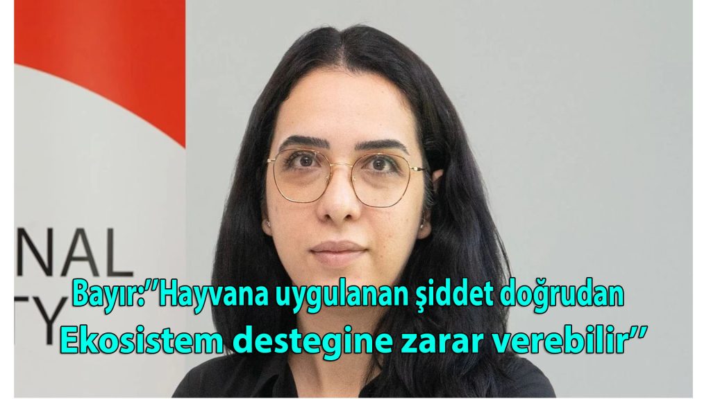 Bayır: “Hayvana uygulanan şiddet doğrudan ekosistem dengesine zarar verebilir”