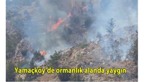 Yamaçköy’de ormanlık alanda yangın