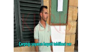 Çarptığı yayanın hayati tehlikesi var