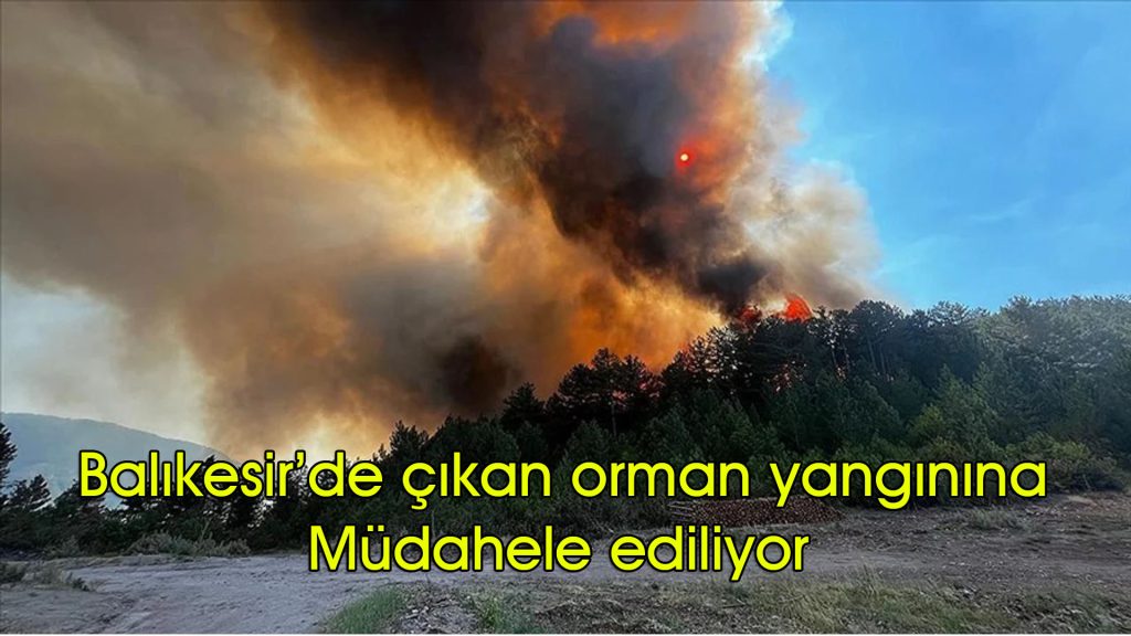 Balıkesir’de çıkan orman yangınına müdahale ediliyor