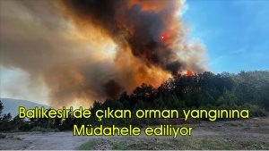 Balıkesir’de çıkan orman yangınına müdahale ediliyor