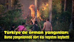 Tükiye’de orman yangınları: Bursa yangınlarında dört kişi hayatını kaybetti