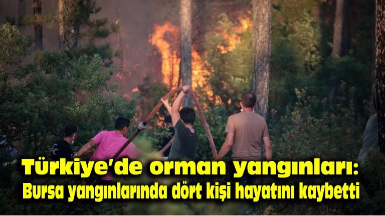 Tükiye’de orman yangınları: Bursa yangınlarında dört kişi hayatını kaybetti