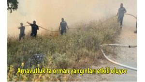 Arnavutluk’ta orman yangınları etkili oluyor