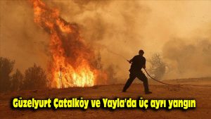 Güzelyurt, Çatalköy ve Yayla’da üç ayrı yangın