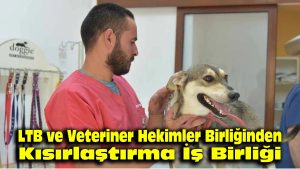 LTB ve Veteriner Hekimler Birliği’nden kısırlaştırma iş birliği