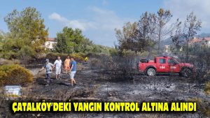 Çatalköy’deki yangın kontrol altına alındı
