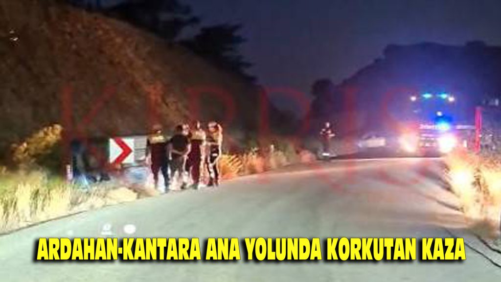 Ardahan-Kantara anayolunda korkutan kaza!