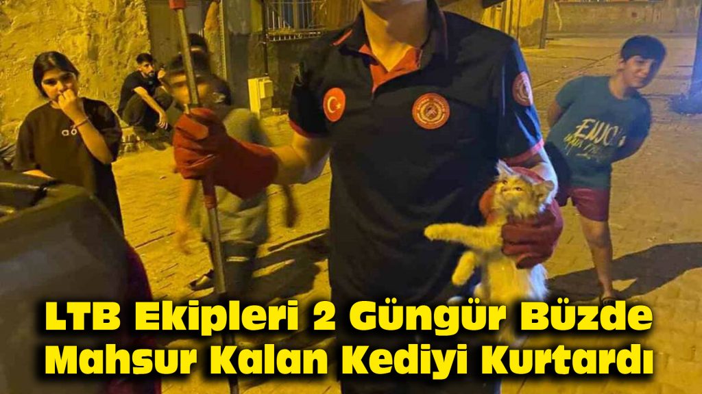 LTB Ekipleri 2 Gündür Büzde Mahsur Kalan Kediyi Kurtardı