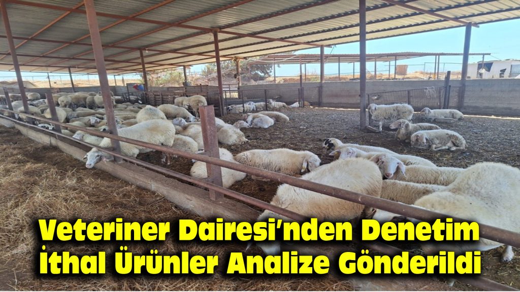 Veteriner Dairesi’nden denetim: İthal ürünler analize gönderildi