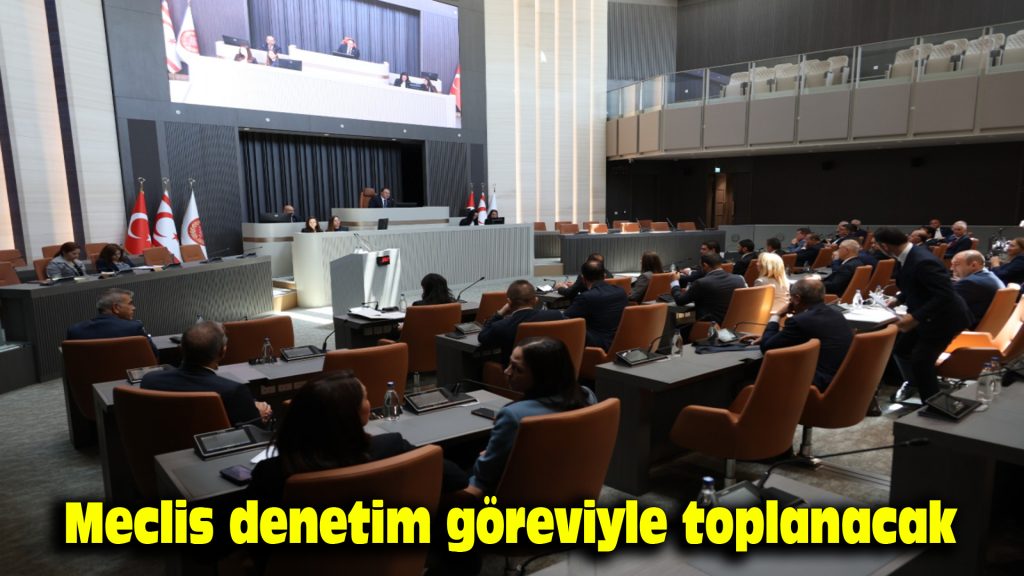 Meclis denetim göreviyle toplanacak