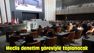 Meclis denetim göreviyle toplanacak