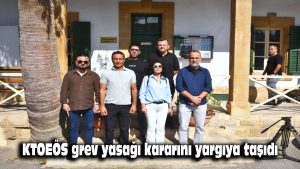 KTOEÖS, grev yasağı kararını yargıya taşıdı