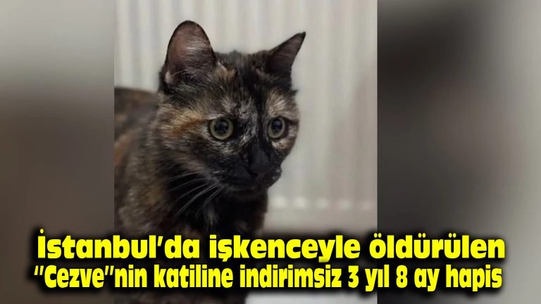 İstanbul’da işkenceyle öldürülen “Cezve”nin katiline indirimsiz 3 yıl 8 ay hapis