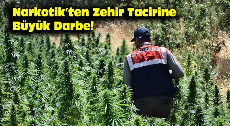 Narkotik’ten Zehir Tacirine Büyük Darbe