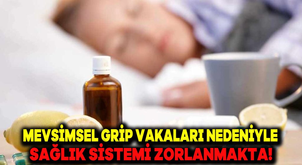 Mevsimsel Grip Vakaları Nedeniyle Sağlık Sistemi Zorlanmakta!
