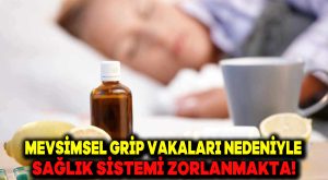 Mevsimsel Grip Vakaları Nedeniyle Sağlık Sistemi Zorlanmakta!
