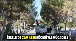 İskele’de çam kese böceğiyle mücadele