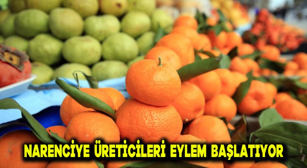 Narenciye üreticileri eylem başlatıyor