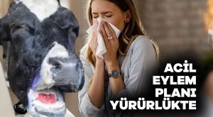 Acil eylem planı yürürlükte