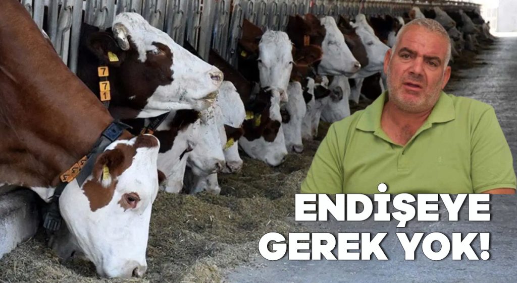 Endişeye gerek yok