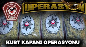 Kurt kapanı operasyonu