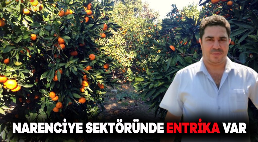 Narenciye sektöründe entrika var