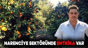 Narenciye sektöründe entrika var