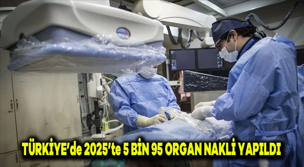 Türkiye’de 2025’te 5 bin 95 organ nakli yapıldı