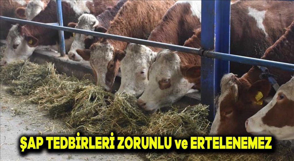 Şap Tedbirleri Zorunlu ve Ertelenemez