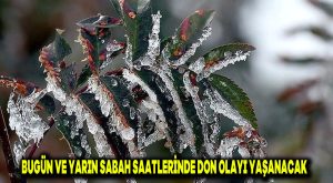 Bugün ve yarın sabah saatlerinde don olayı yaşanacak