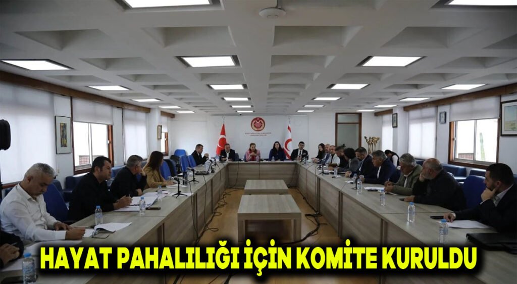 Hayat pahalılığı için komite kuruldu
