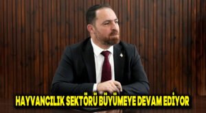 Hayvancılık sektörü büyümeye devam ediyor