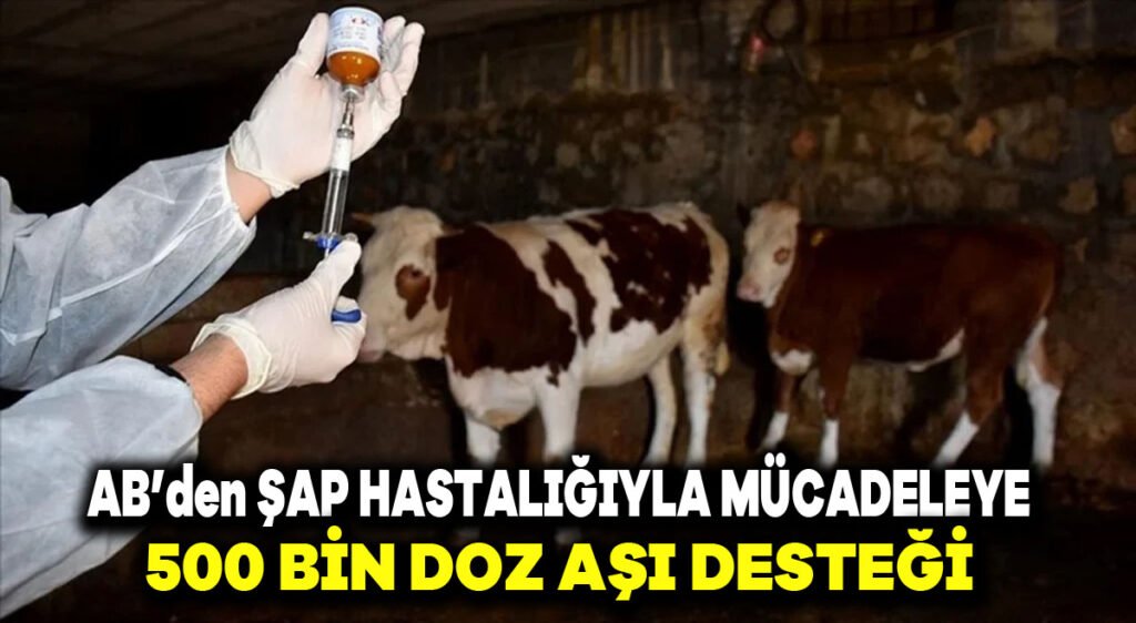 AB’den şap hastalığıyla mücadeleye 500 bin doz aşı desteği