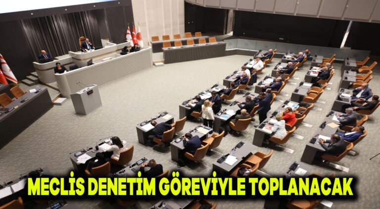 Meclis, denetim göreviyle toplanacak