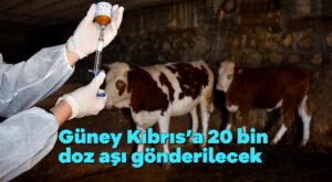 Güney Kıbrıs’a 20 bin doz aşı gönderilecek
