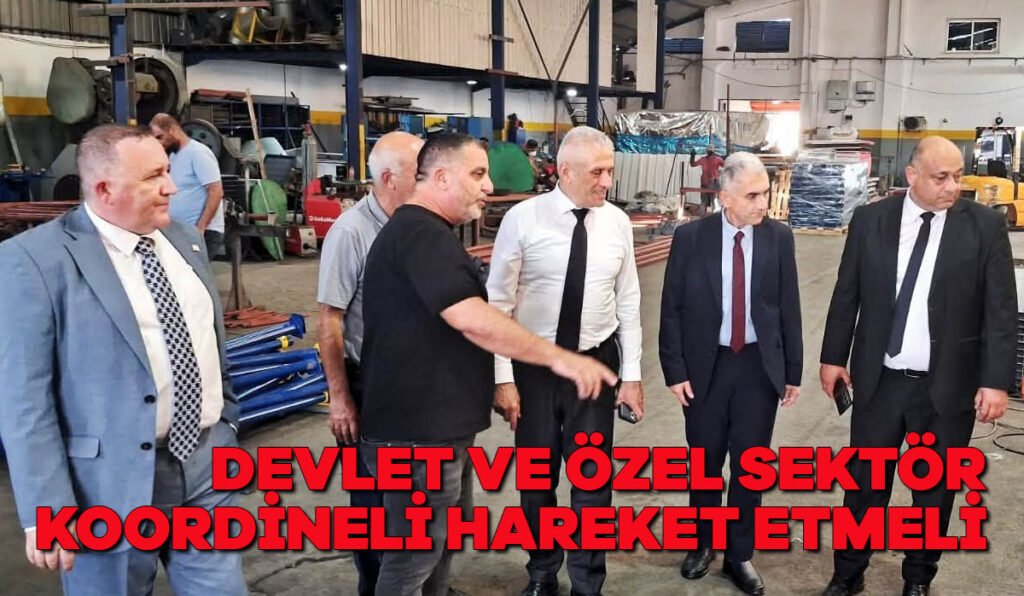 Devlet ve özel sektör koordineli hareket etmeli
