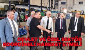 Devlet ve özel sektör koordineli hareket etmeli